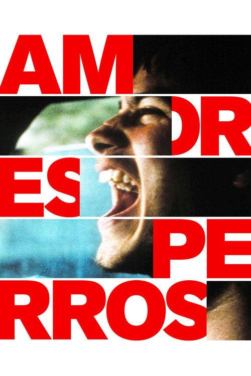 Amores Perros 2000 official movie poster