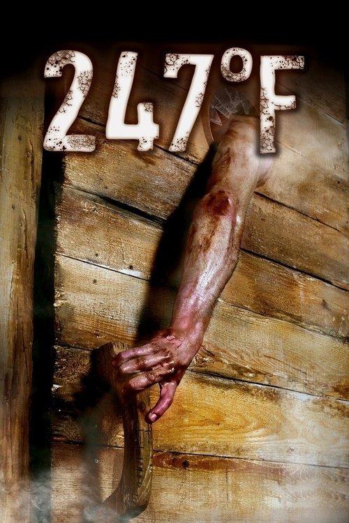 247°F 2011 official movie poster