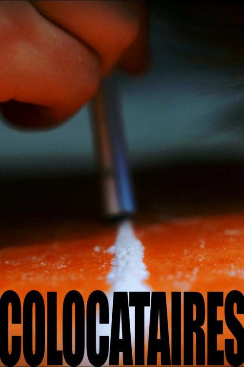 COLOCATAIRES 2026 official movie poster