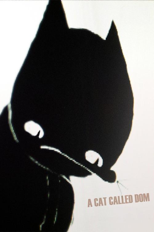 A Cat Called Dom 2023 official movie poster