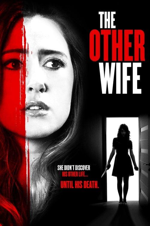 The Other Wife 2016 official movie poster