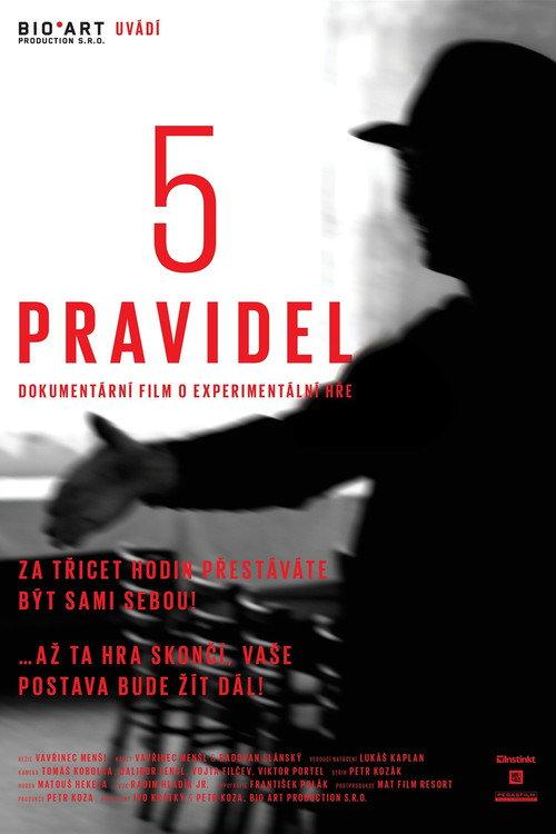 5 pravidel 2013 official movie poster