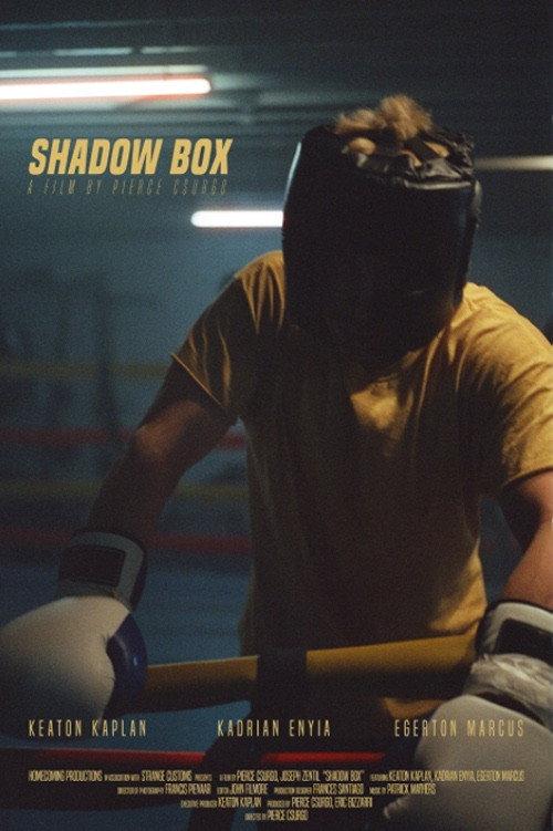 Shadow Box 2023 official movie poster