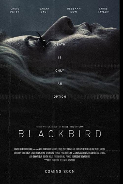 Blackbird 2020 official movie poster