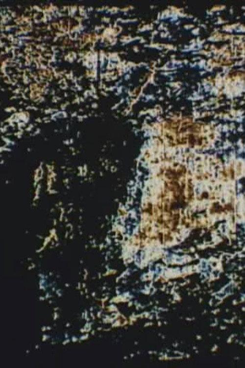 Two Pictures 1999 official movie poster
