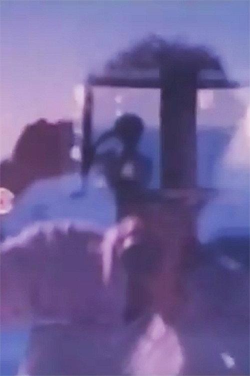 Glyphs II 1977 official movie poster