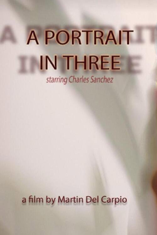 A Portrait in Three 2023 official movie poster