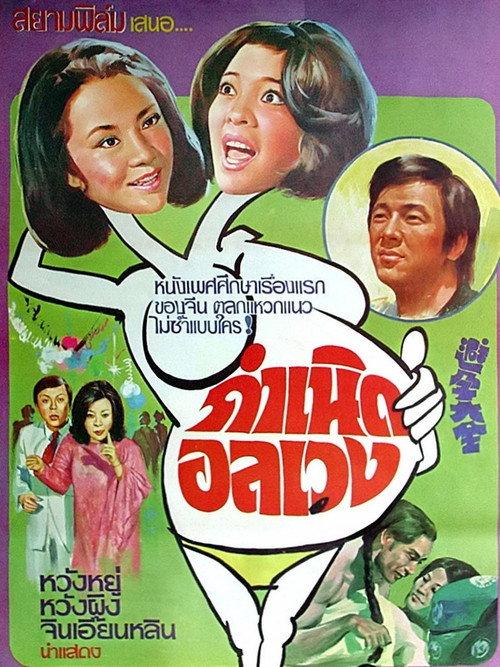 A Cookbook of Birth Control 1975 official movie poster