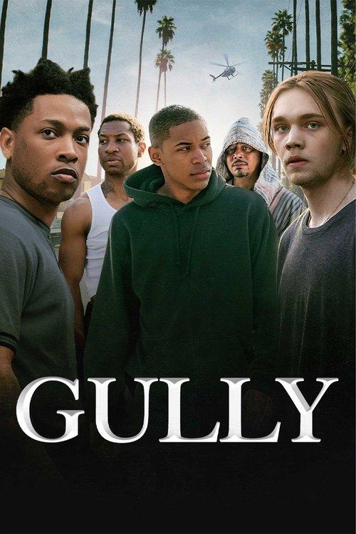 Gully 2021 official movie poster