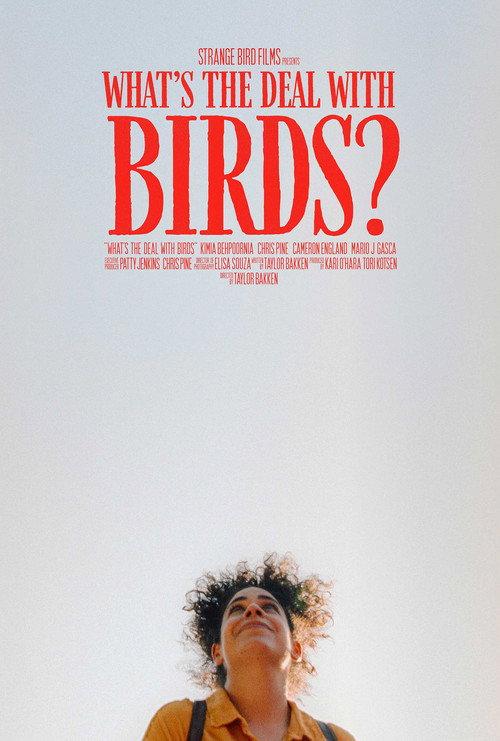What's The Deal With Birds? 2025 official movie poster