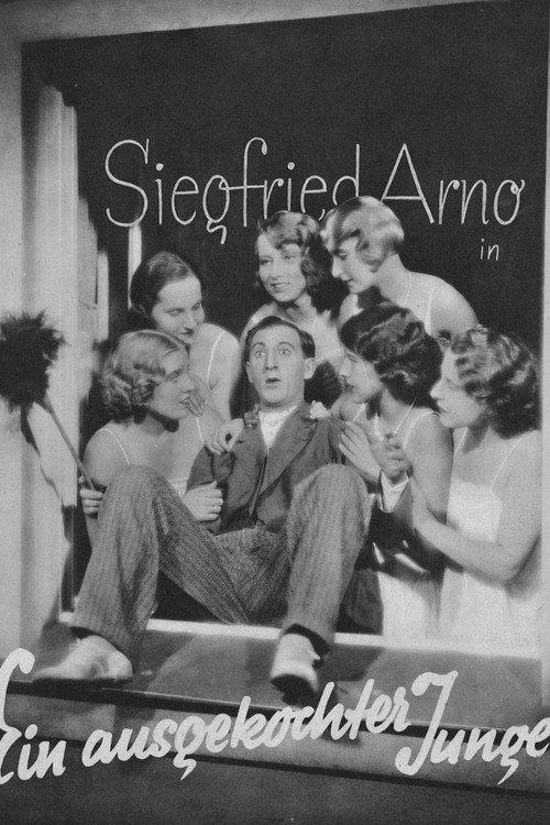 A Crafty Youth 1931 official movie poster