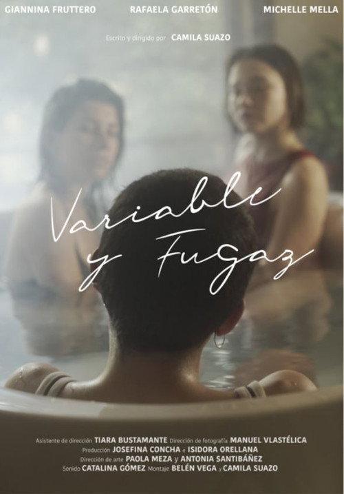 Variable and Fleeting 2020 official movie poster