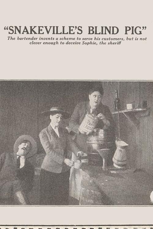 Snakeville's Blind Pig 1914 official movie poster