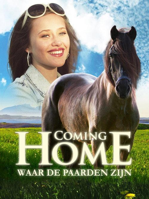 Coming Home 2011 official movie poster