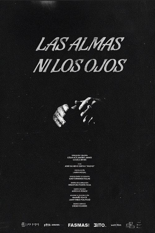 Las almas ni los ojos 2026 official movie poster