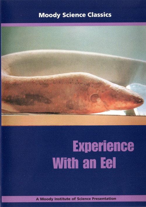 Experience With an Eel  official movie poster