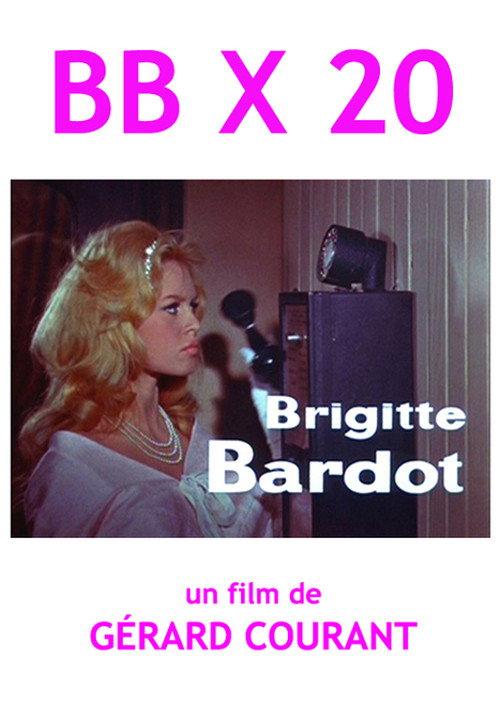 BB X 20 2010 official movie poster