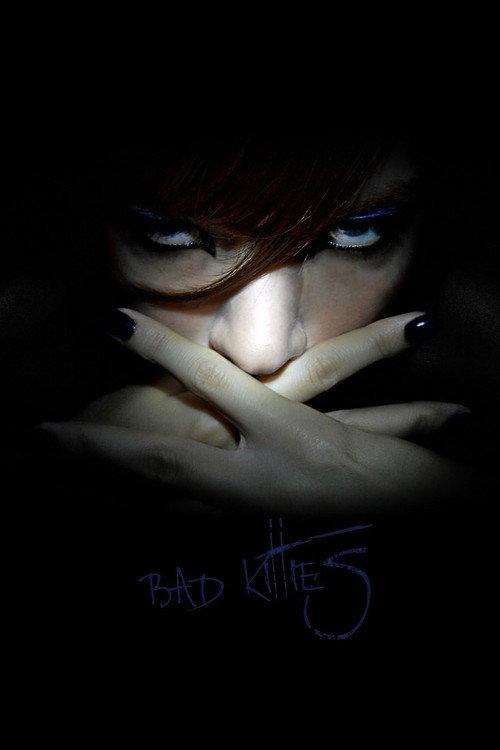 Bad Kitties 2013 official movie poster