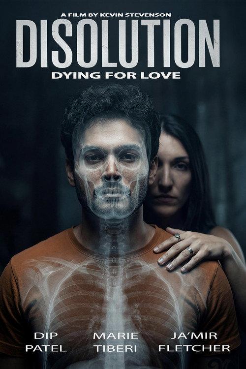 Disolution 2026 official movie poster