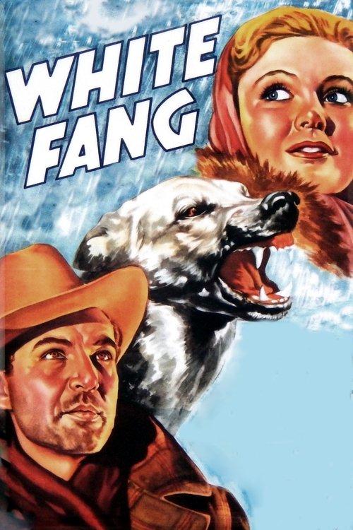 White Fang 1936 official movie poster