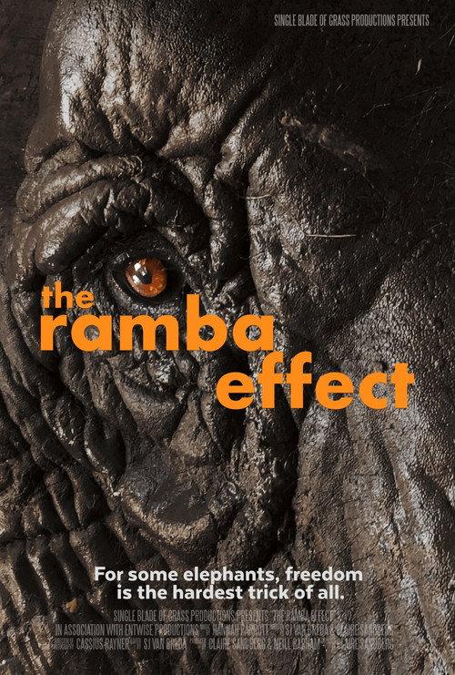 The Ramba Effect 2025 official movie poster
