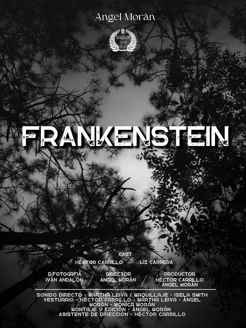 Frankenstein The Creature 2025 official movie poster