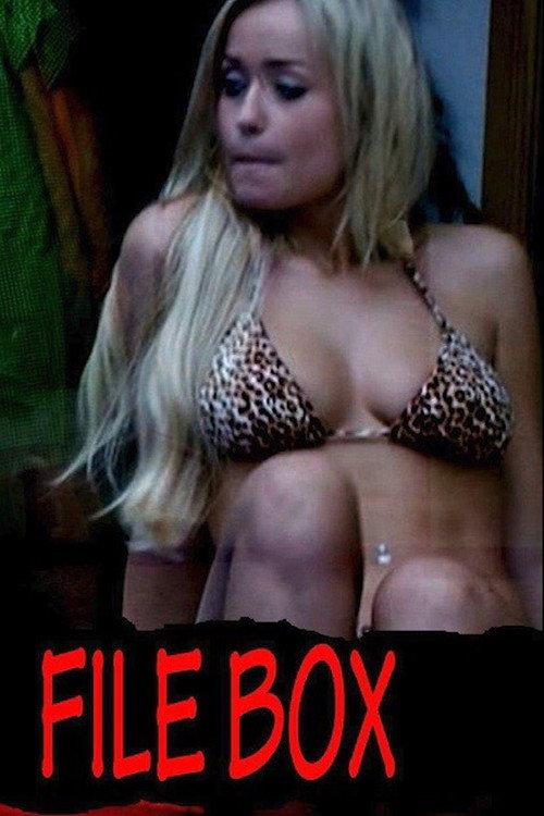 File Box 2013 official movie poster