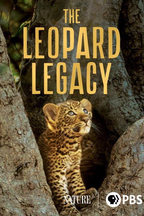 The Leopard Legacy 2020 official movie poster