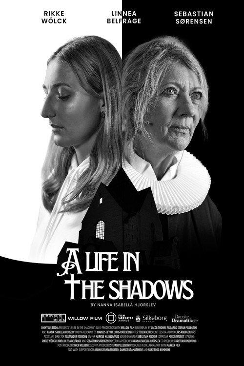 A Life In The Shadows 2025 official movie poster