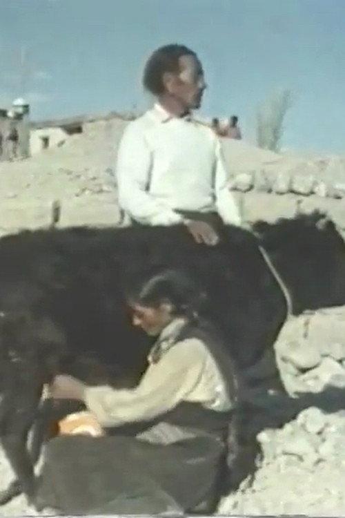 Echoes From Tibet 1980 official movie poster