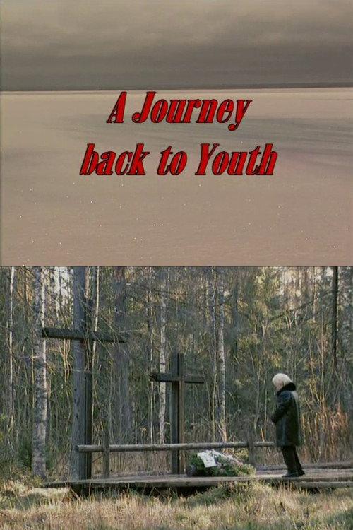 A Journey Back to Youth 2001 official movie poster