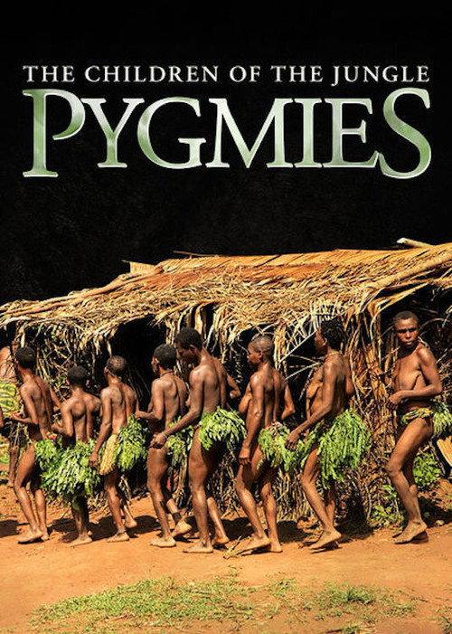 Pygmies: The Children of the Jungle 2011 official movie poster