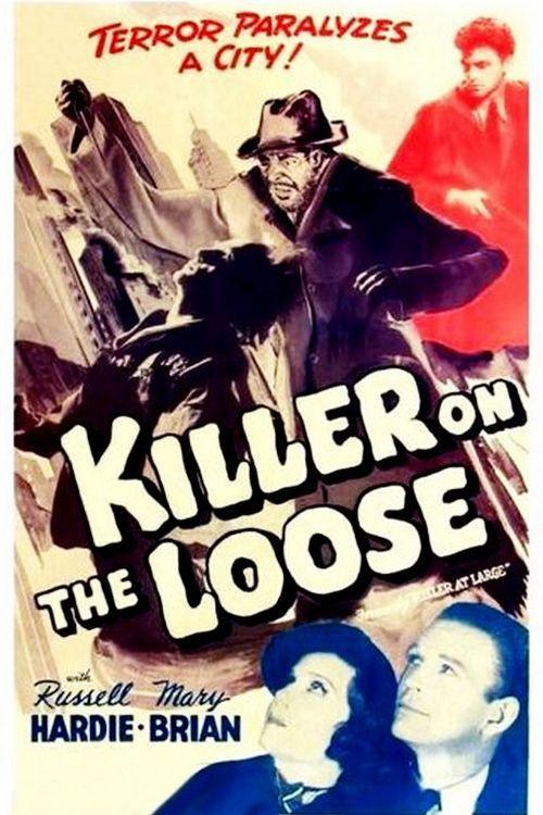 Killer at Large 1936 official movie poster