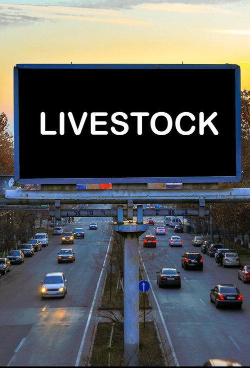 LIVESTOCK 2022 official movie poster