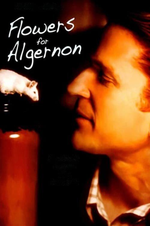 Flowers for Algernon 2000 official movie poster