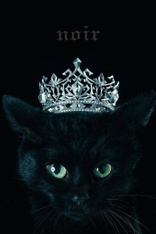 Aimer: Best Selection "noir" (Limited Edition Bonus) 2017 official movie poster
