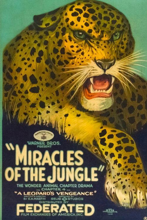 Miracles of the Jungle 1921 official movie poster
