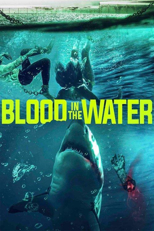 Blood in the Water 2022 official movie poster