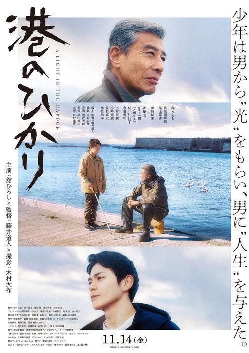 A Light in the Harbor 2025 official movie poster