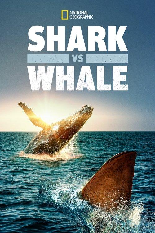 Shark Vs. Whale 2020 official movie poster