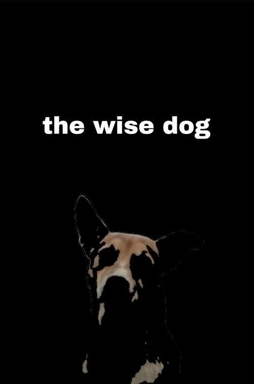 the wise dog 2026 official movie poster