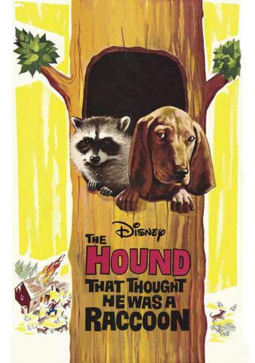 The Hound That Thought He Was a Raccoon 1960 official movie poster