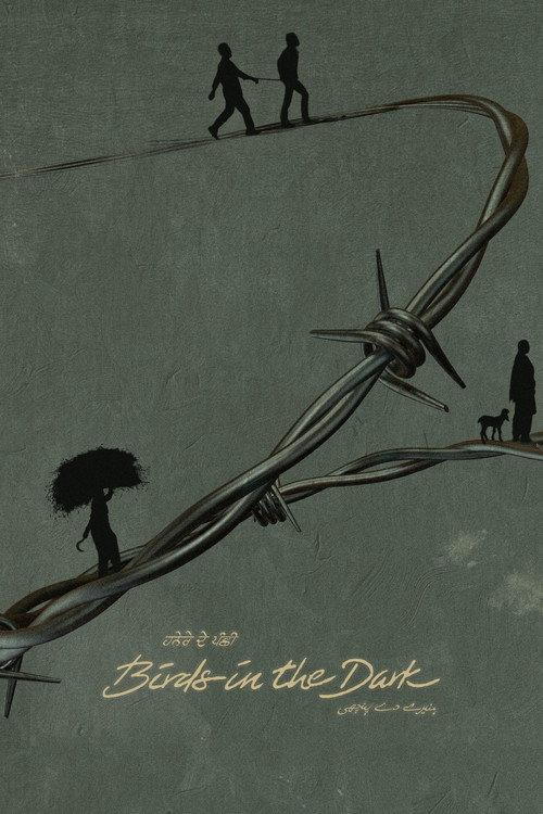 Birds in the Dark 2026 official movie poster