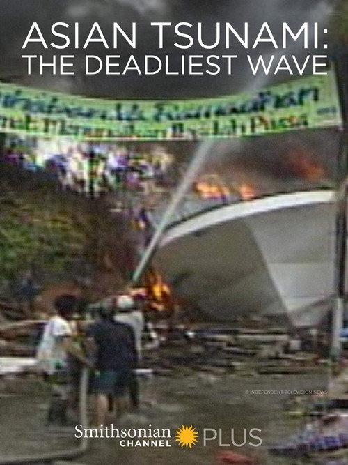 Asian Tsunami: The Deadliest Wave 2014 official movie poster