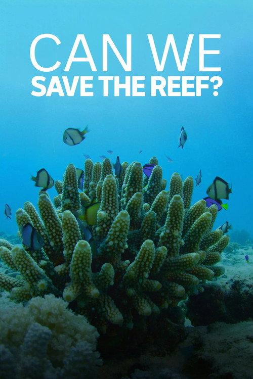 Can We Save the Reef? 2018 official movie poster