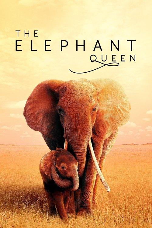 The Elephant Queen 2019 official movie poster