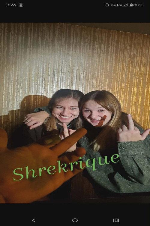 Shrekrique 2022 official movie poster