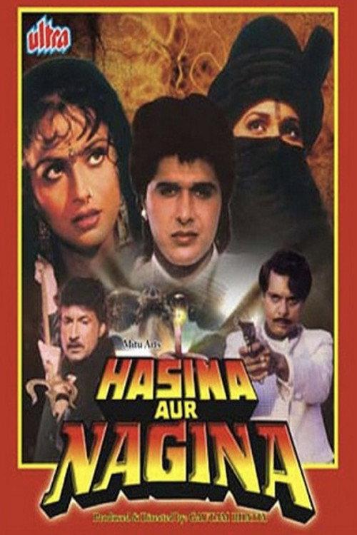 Hasina Aur Nagina 1996 official movie poster