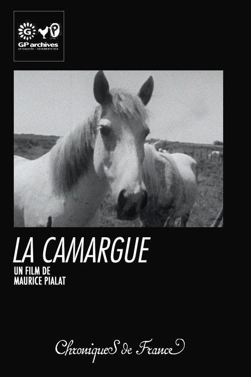 La Camargue 1966 official movie poster