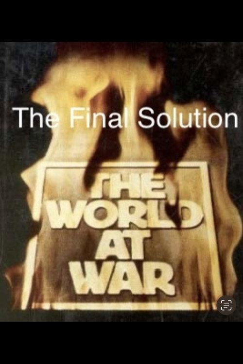 The Final Solution 1975 official movie poster